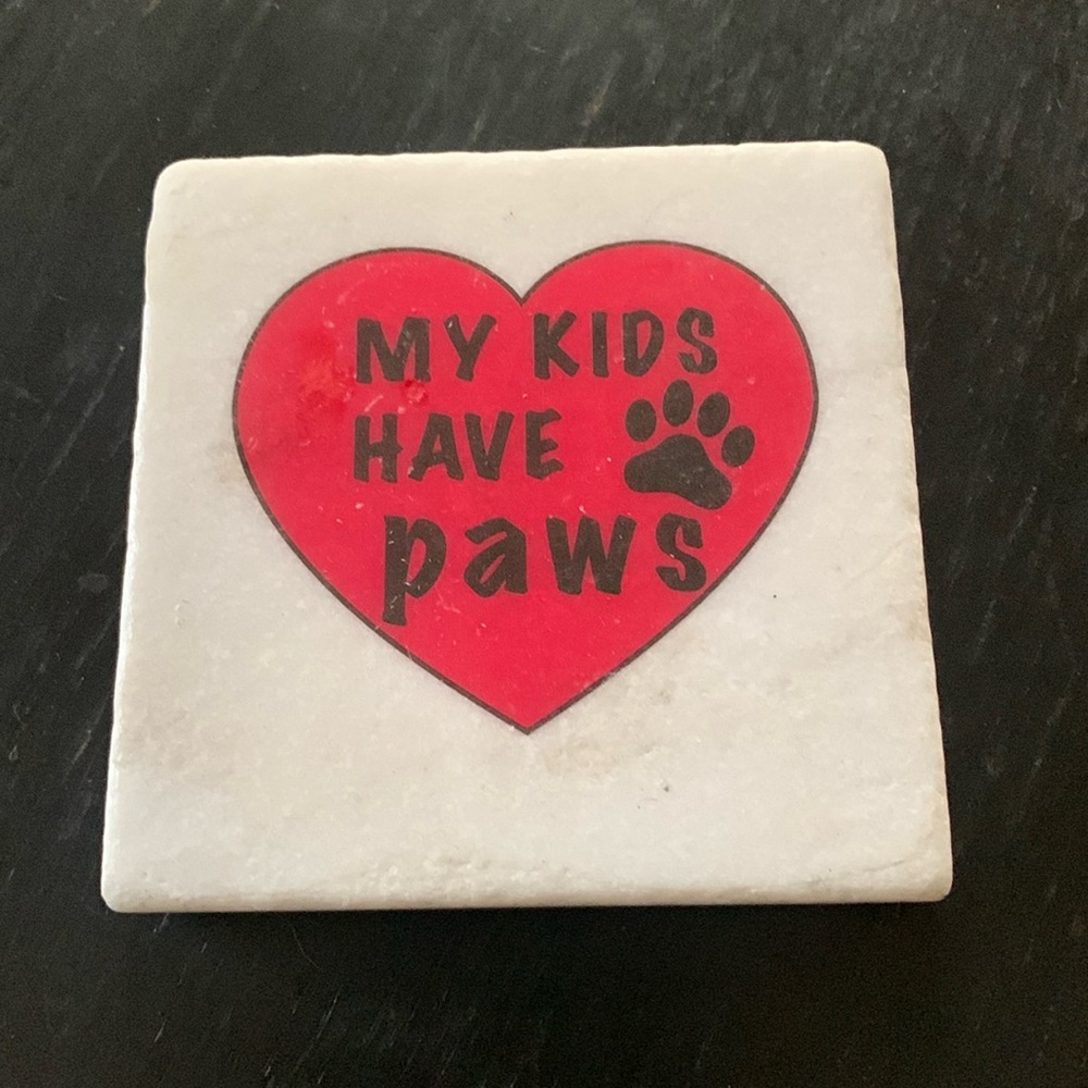 Paw Kids Valentine coaster
